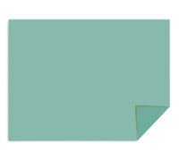 Картон цветной тонированный 200гр/кв.м 600мм х 840мм зелёный (Ватман), 97004