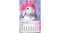 Календарь отрывной на магните 95*145мм, склейка, Арт и Дизайн "Кролик", 2023г, 611,033