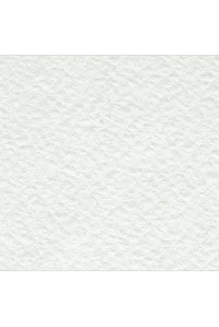 Бумага рисовальная акварельная А1 ЛенГознак, 860*610, 200г/м2, по 100л.97002,(Торшун)