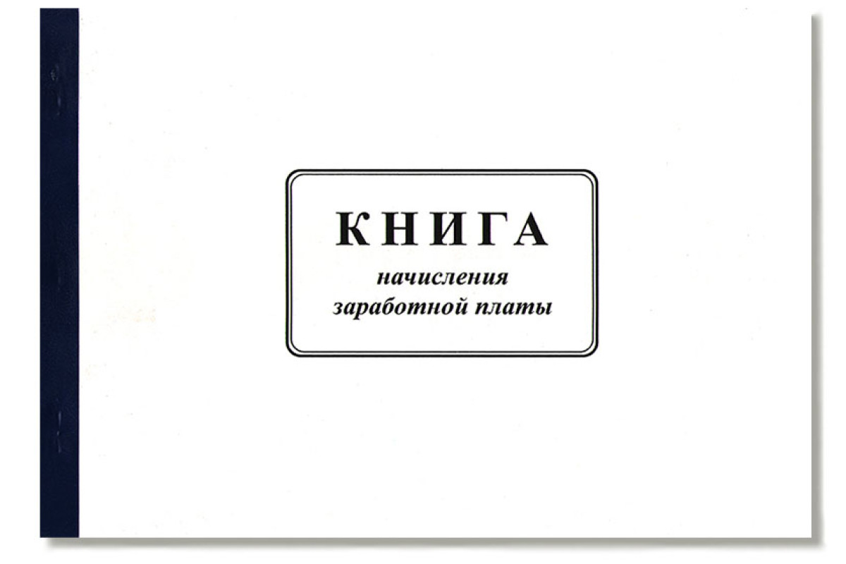 Книга бухгалтерского учета пс образец