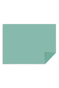 Картон цветной тонированный 200гр/кв.м 600мм х 840мм зелёный (Ватман), 97004