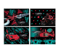 Альбом для рисования 40л., А4, на гребне BG "Freedom", АР4гр40 10890