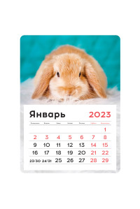Календарь отрывной на магните 130*180мм склейка OfficeSpace "Mono - Милый кролик", 2023г., 341318
