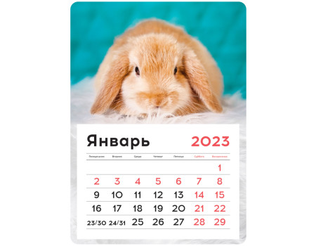 Календарь отрывной на магните 130*180мм склейка OfficeSpace "Mono - Милый кролик", 2023г.